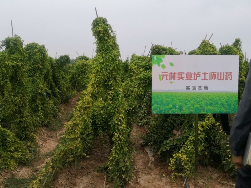 實驗基地牌子